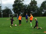 Eerste training SJO D.Z.C. '09/S.K.N.W.K. JO13-1 van het seizoen 2022-2023 (44/74)